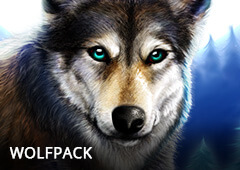 Wolfpack T1