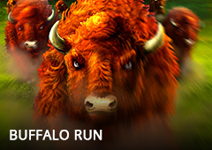 Buffalo Run T2