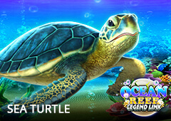 Sea Turtle T2