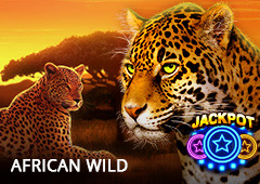 African Wild T2