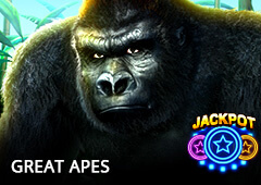Great Apes T2