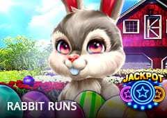 Rabbit Runs T2