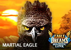 Martial Eagle T2