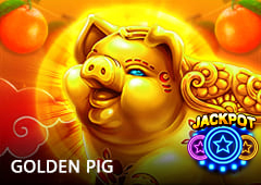 Golden Pig T2