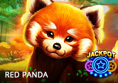 Red Panda T2