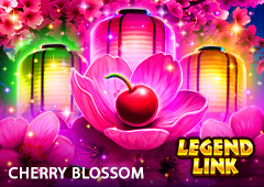 Cherry Blossom