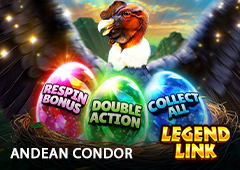 Andean Condor R